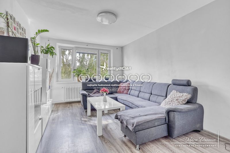 Living room in a two-room apartment with a sofa, wood-patterned flooring, and plants.