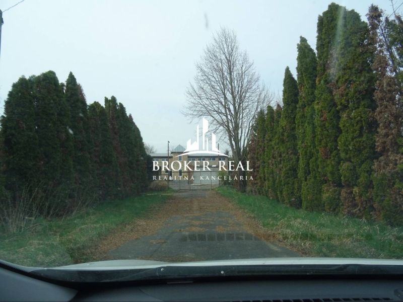 Tree-lined driveway in Meyre, leading to warehouses and halls.