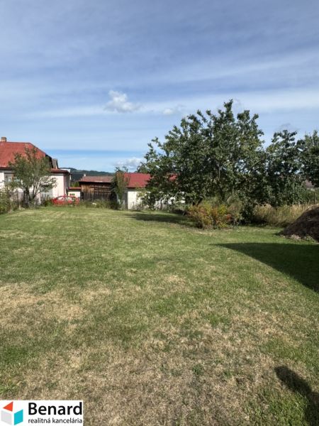 Garden in front of a family house in Plavnica, grassy area and greenery under a blue sky.