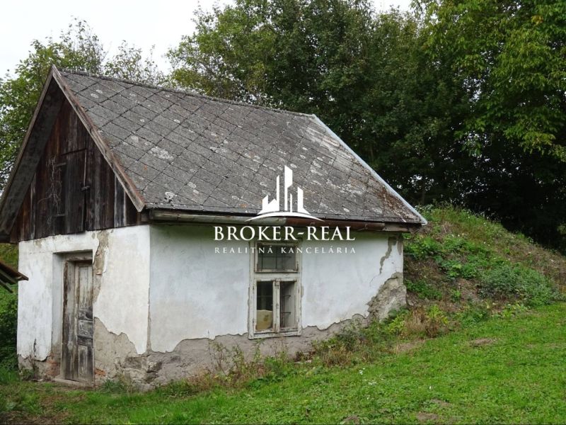 A small family house in Černochov with a wooden roof and a neglected facade.