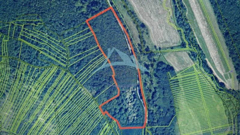 Agricultural and forest lands in Dolné Strháre, delineated by a red line on the map.