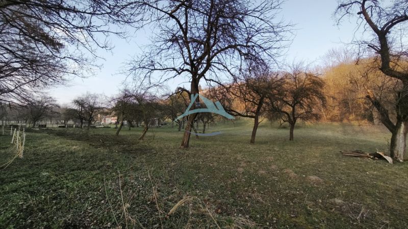 A garden with deciduous trees on a residential plot in Veľký Krtíš, A. H. Škultétyho.