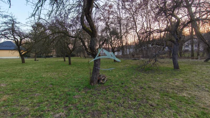 A garden with a grassy plot and trees on A. H. Škultétyho Street in Veľký Krtíš.