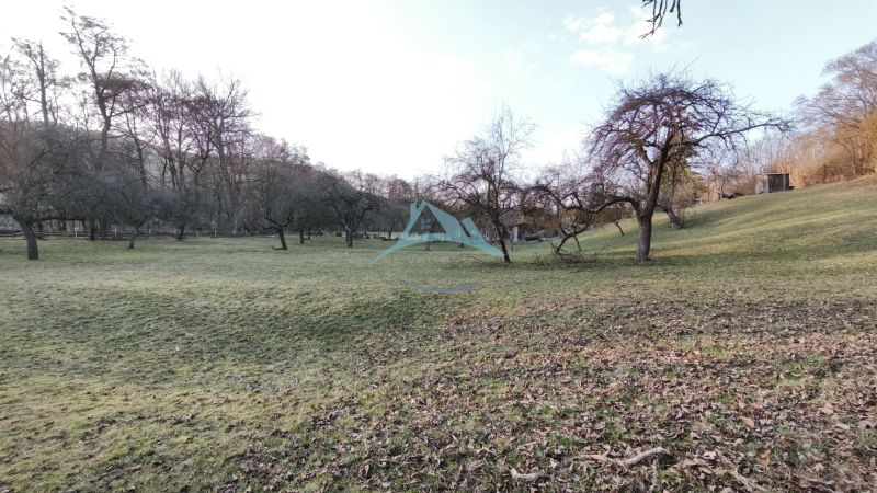 Greenery with fruit trees on a gentle slope on residential plots on A. H. Škultétyho in Veľký Krtíš.