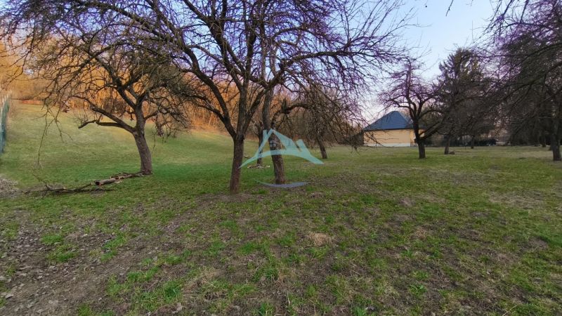 Grassy plot with fruit trees for sale in the location of A. H. Škultétyho, Veľký Krtíš.