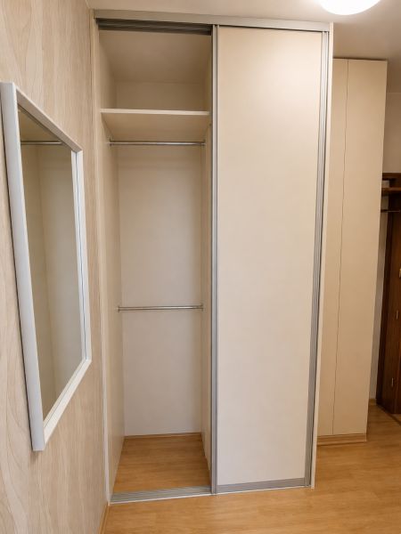 Built-in wardrobe with sliding doors and a wooden decor floor in a 2-room apartment.