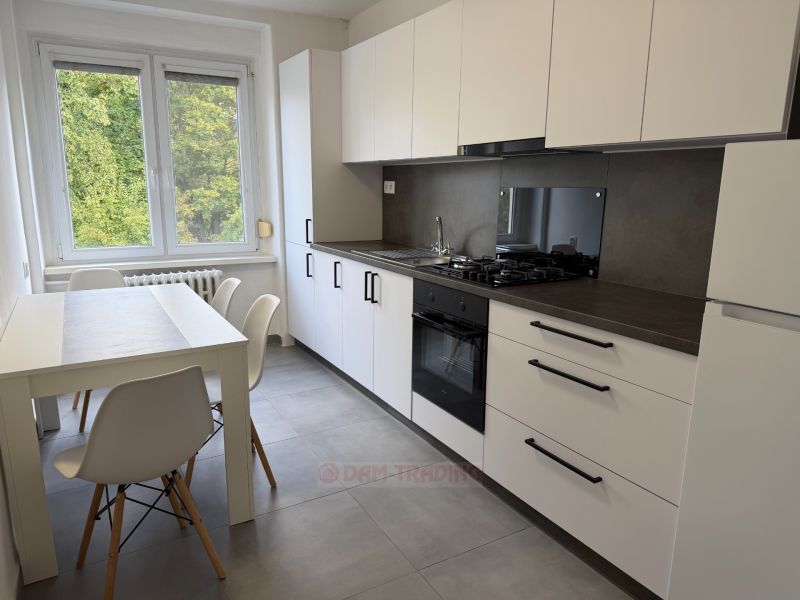 A kitchen in a 2-room apartment with a gray floor and white cabinets.