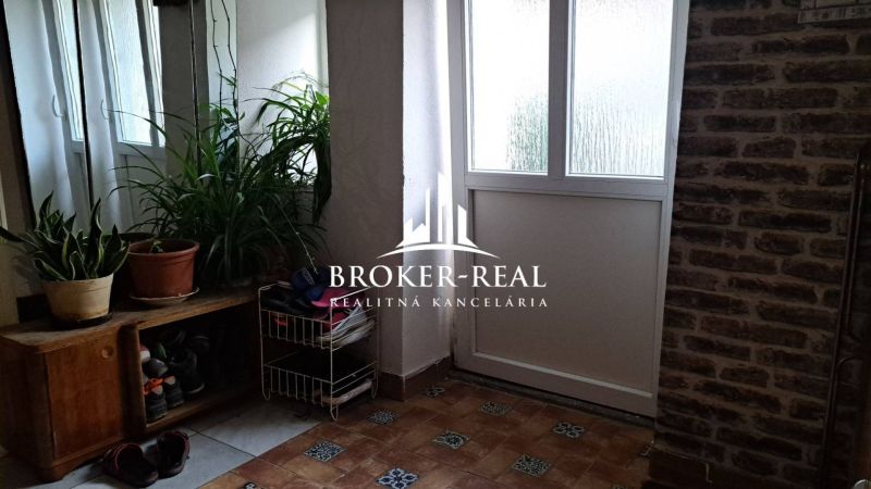 Interior of a family house with plants, a shoe cabinet, and a brick wall.