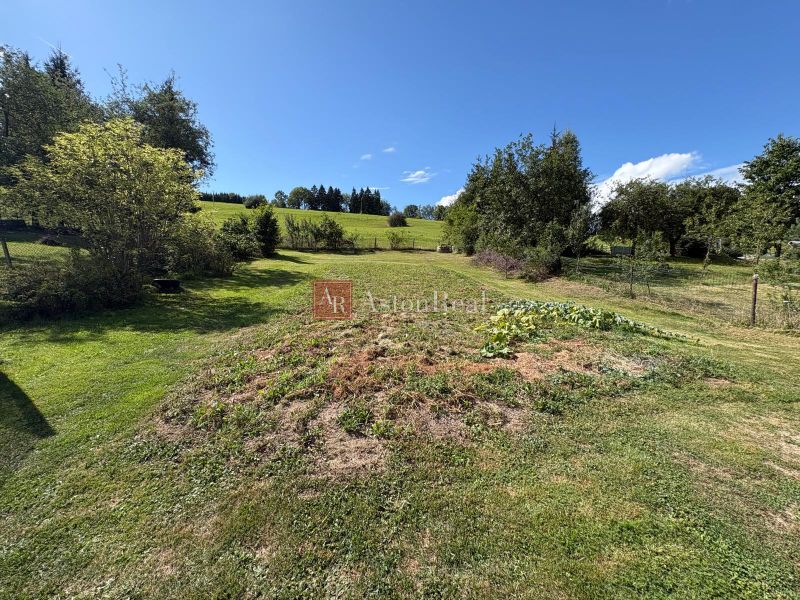 Greenery and tree cover on plots in Vlachy, suitable for living.