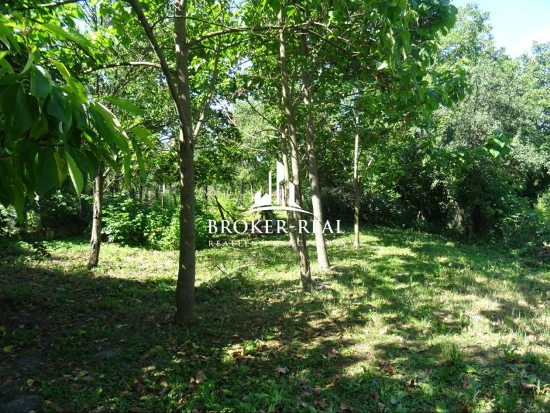 A garden at a family house in Abaujvár with numerous trees and greenery.