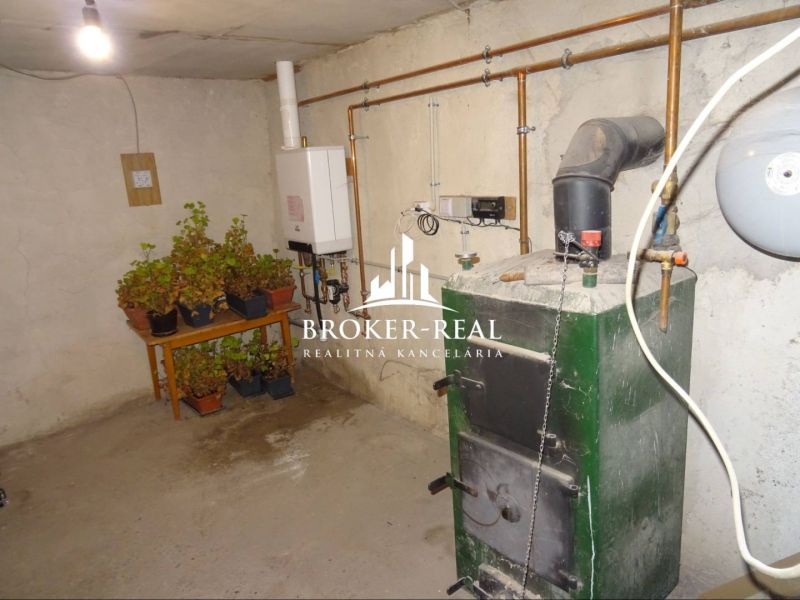The basement of a family house in Gönc with a boiler and plants on the table.