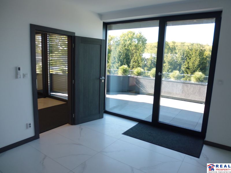 Spacious office spaces with glass doors, view of the terrace and greenery.