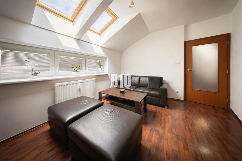 Living room in a two-room apartment with skylights, a sofa set, and a wooden decor floor.