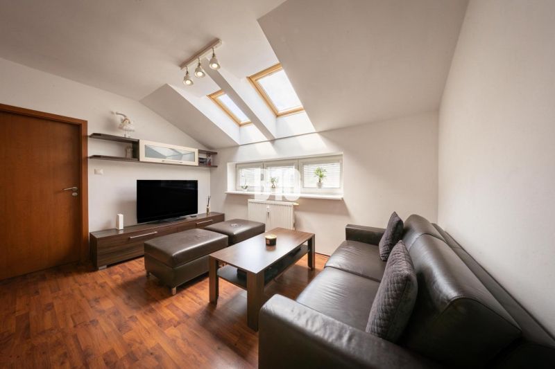 Living room in a two-room apartment with skylights and a wooden decor floor.