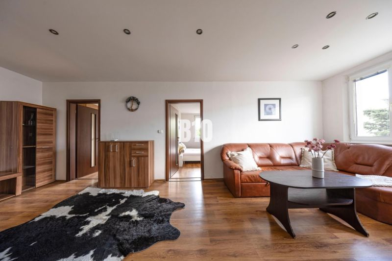 Living room with a leather sofa, wood-patterned flooring, and a decorative rug.