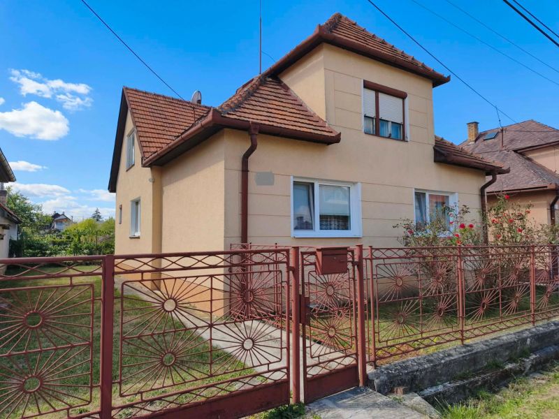 A family house in Oslany with a sloped roof and a decorative metal fence.