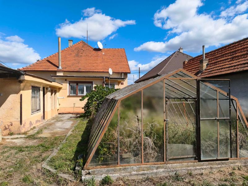 A family house in Oslany with a spacious garden and a greenhouse.