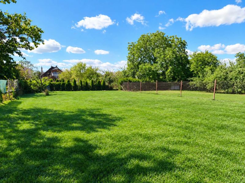 The garden of a family house in Oslany with a lawn, surrounded by greenery and a blue sky.