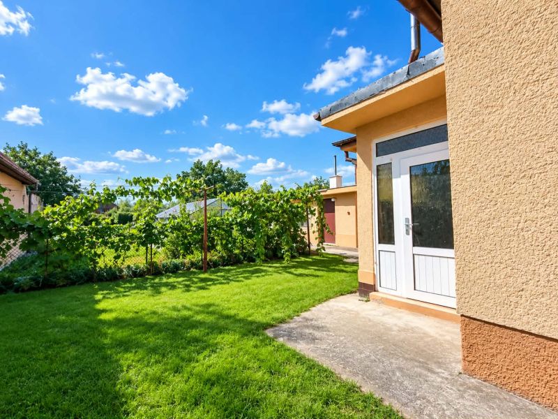 The exterior of a family house in Oslany with a green lawn and grapevines.