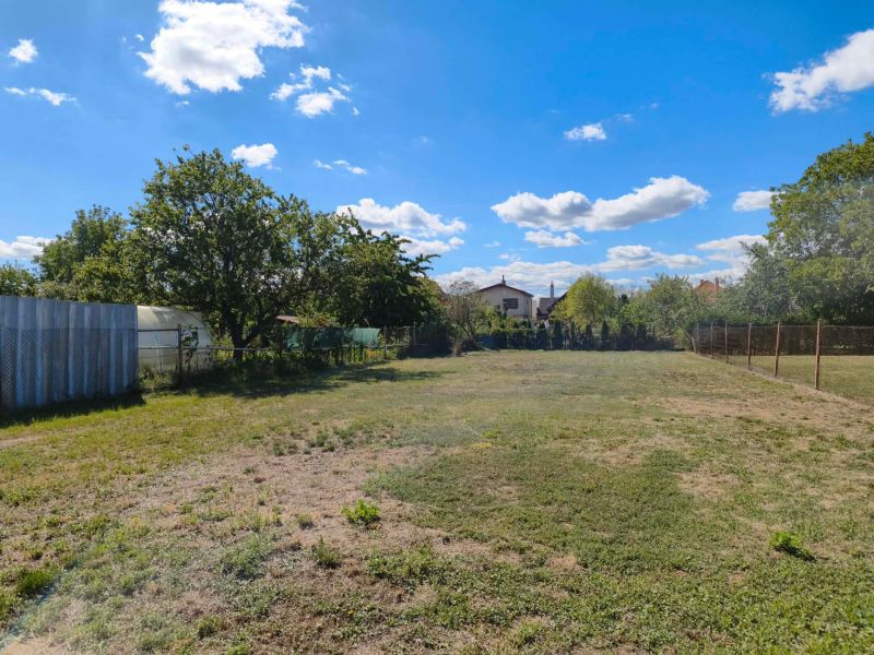 A spacious plot of land near a family house in Oslany with a grassy surface and trees.