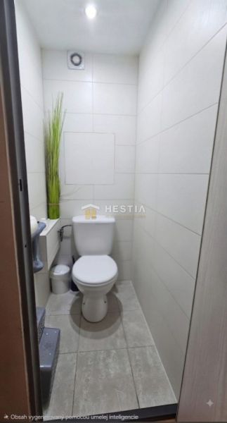 Bathroom in a 2-room apartment with a toilet and a decorative plant.