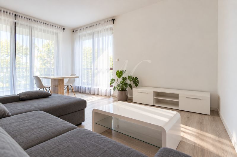 Living room of a two-room apartment with a wooden decor floor, a gray sofa, and a table.