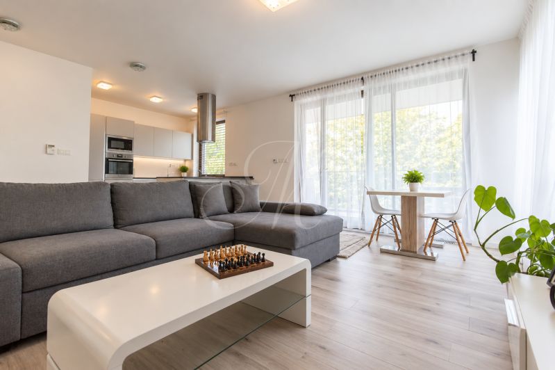 A bright living room with a kitchen, with a wooden decor floor in a 2-room apartment.