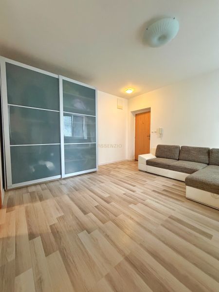 A studio apartment with a wooden floor, a sofa, and a built-in wardrobe.