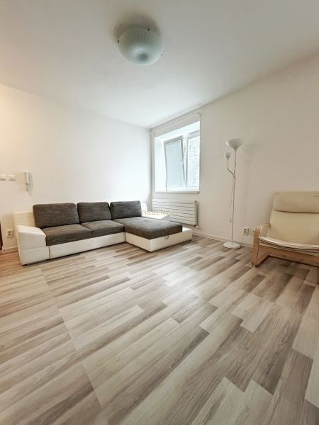 Studio apartment with a sofa, armchair, and wooden floor decor.