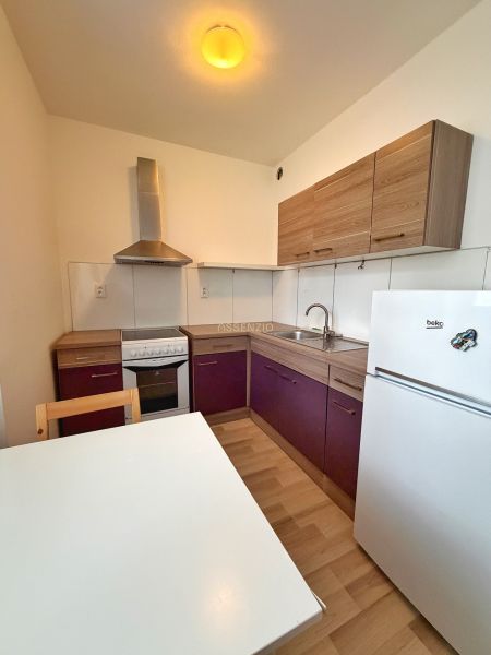 A kitchenette in a studio apartment with a dining table, purple cabinets, and a wooden decor floor.