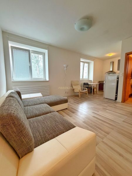 A studio apartment with wood-patterned flooring, a sofa, a table, and a kitchenette.
