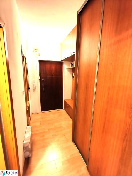 A hallway with a wooden decor floor and built-in wardrobes in a studio apartment.