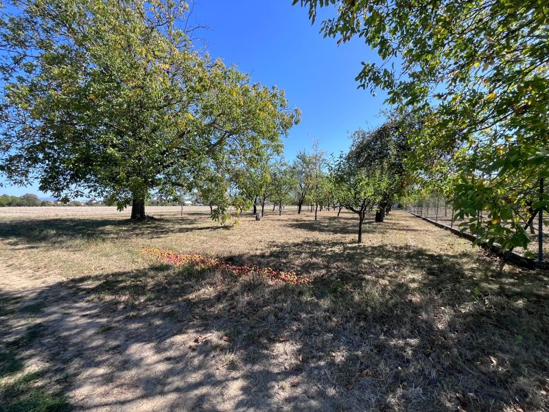 Plots in Dulov with trees on Dulovska Street; suitable for living.