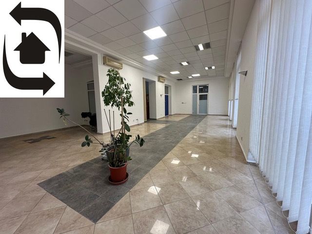 Spacious commercial spaces with tiles and a houseplant.