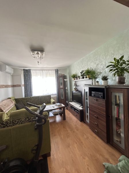 Living room of a three-room apartment with a sofa, flowers, and a wooden decor floor.