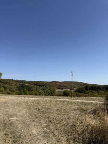 Dry land and trees on plots in Kučišdorfská Street, Pezinok.