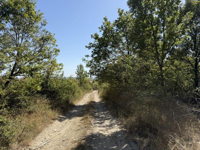 Forest road between agricultural and forest lands on Kučišdorfská Street, Pezinok.
