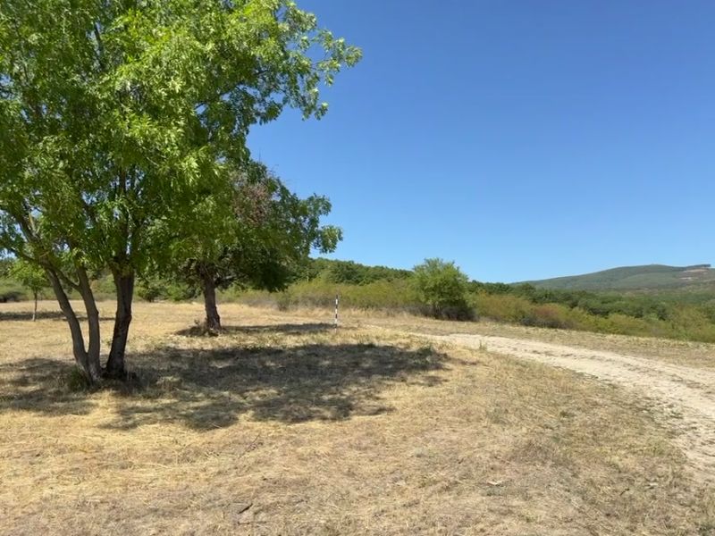 Agricultural and forest land on Kučišdorfská Street in Pezinok, trees and grass.