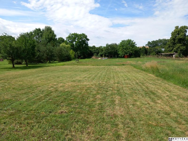 Spacious residential plots in Beladice with grassy areas and trees.