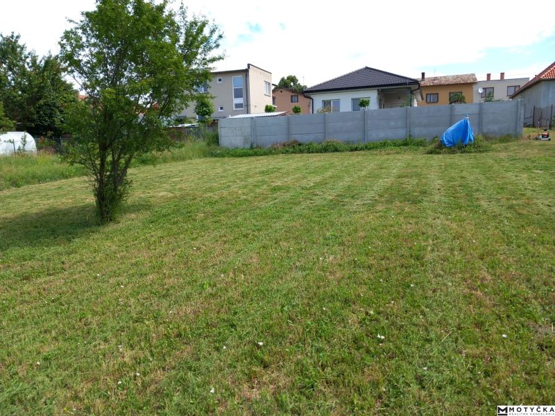Plots - housing in Beladice with maintained lawn and a tree, houses in the background.