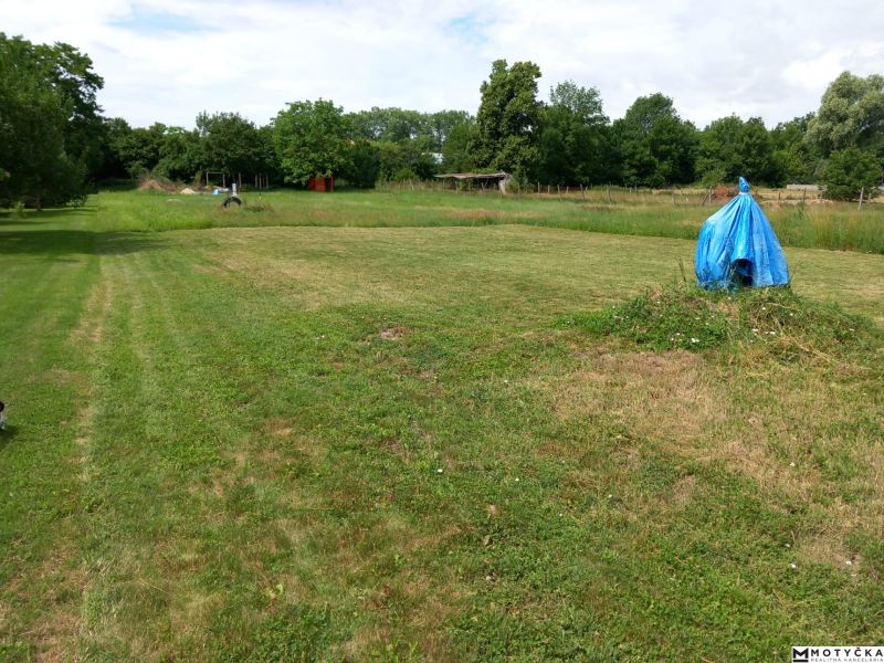 A grassy plot in Beladice suitable for living, surrounded by lush greenery and trees.