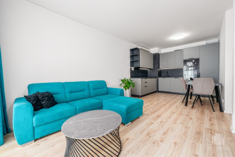 Living room with a turquoise sofa, wood-patterned flooring, and a kitchen in a two-room apartment.