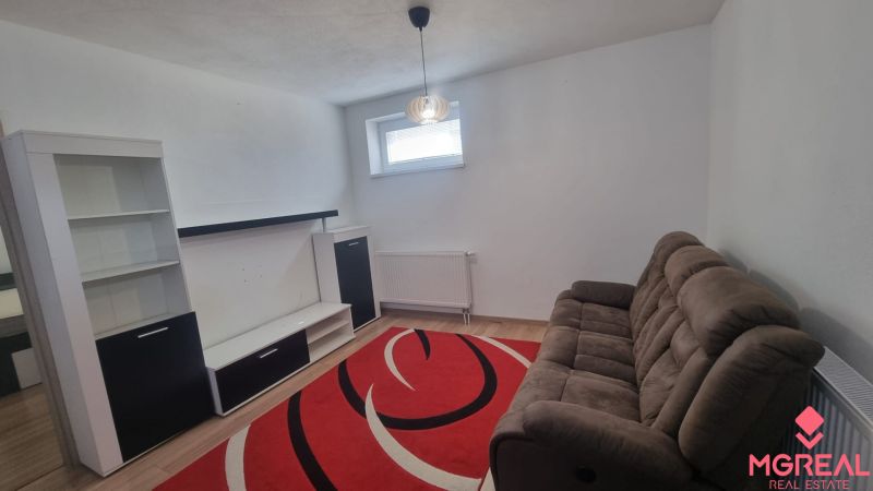 Living room in a two-room apartment with a sofa, red carpet, and furniture.
