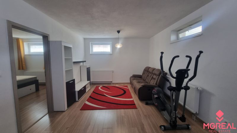 Living room in a two-room apartment with a wooden decor floor, a red rug, and fitness equipment.