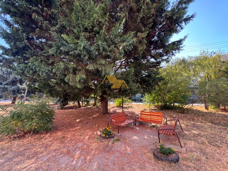 In Bajč, on Bajč street, there is a bench and greenery under the tree.