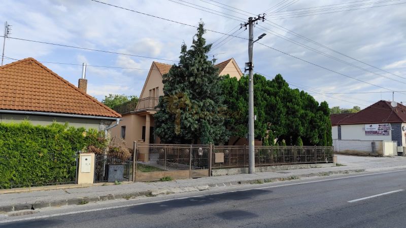 Family houses in Krušovce with front gardens and ornamental trees by the road.