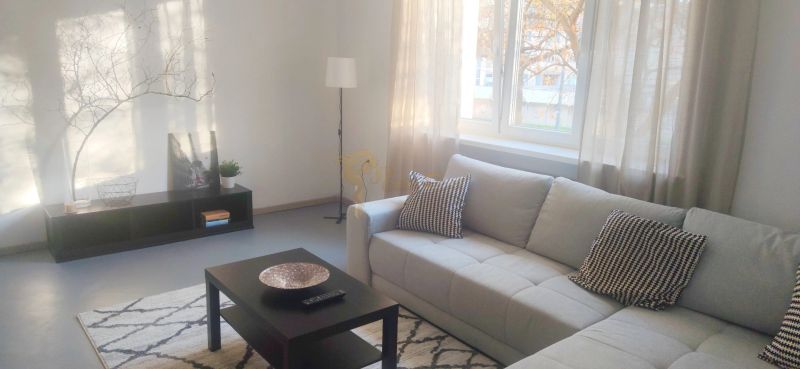 Living room in a two-room apartment with a sofa, coffee table, and decorative pillows.