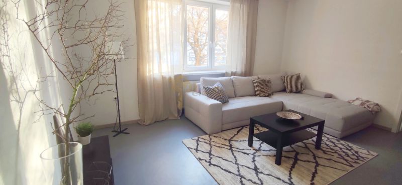 Living room with a sofa, coffee table, rug, and decorative branches in a 2-room apartment.