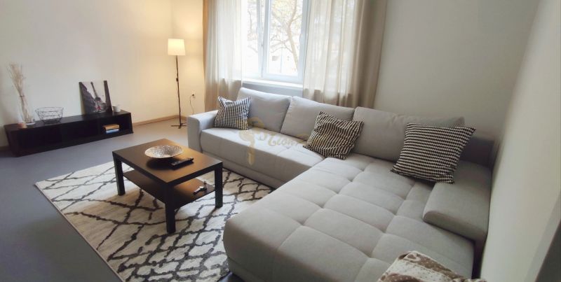 Living room in a 2-room apartment with a sofa, table, and carpet with a geometric pattern.