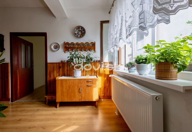 Interior of a family house with houseplants, wooden decor, and decorative plates on the wall.